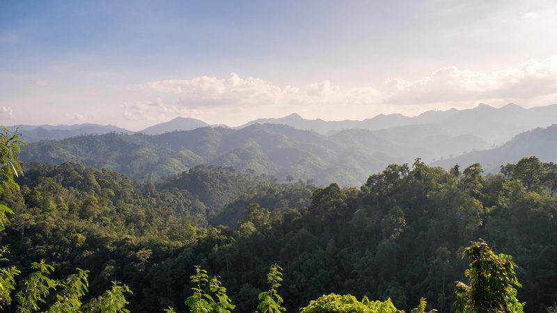 BORNEO-MEKONG-1-79uiotg7r26obgmmzmmrwxtcl36x4a1pof010a95bbo